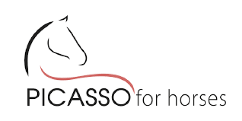 Picasso For Horses