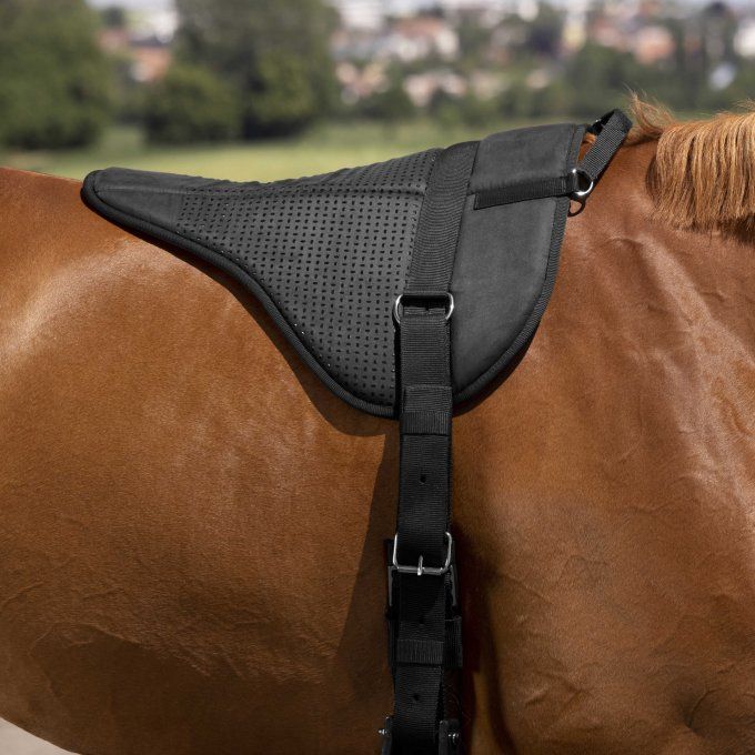 Tapis de monte à cru NORTON - Silicone