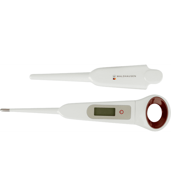 Thermomètre numérique pour chevaux
