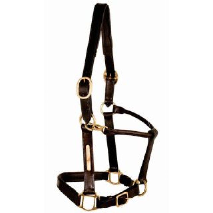 Licol en cuir 