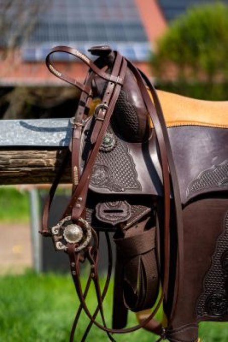 Rênes western de travail 2.10 m