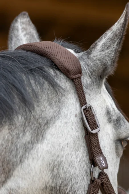 Set Licol et longe Dorai ergonomique en mesh