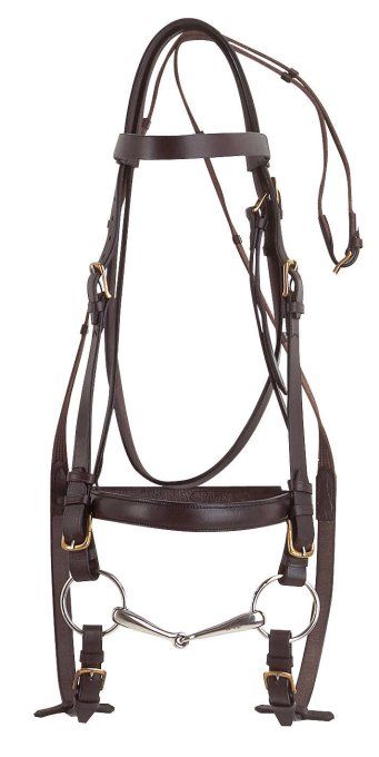 Bridon - Cheval de trait