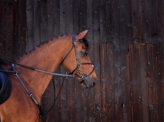 Martingale à anneaux RIDING WORLD