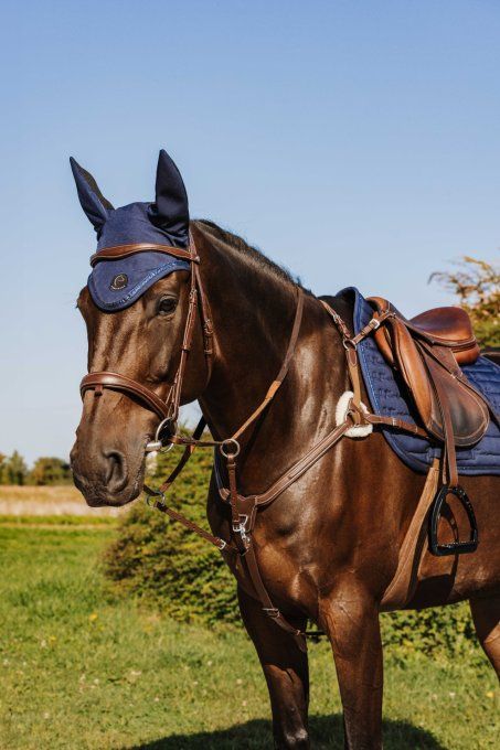 Collier de chasse NORTON PRO - 5 points