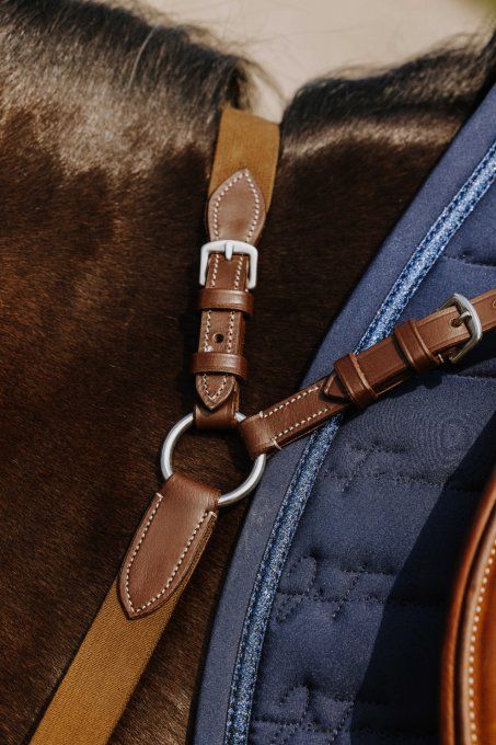 Collier de chasse NORTON PRO - 5 points
