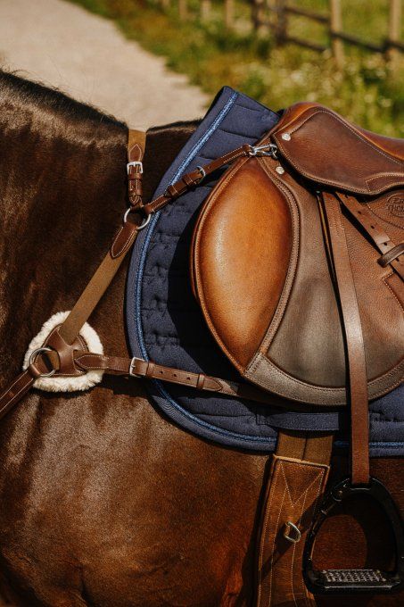 Collier de chasse NORTON PRO - 5 points
