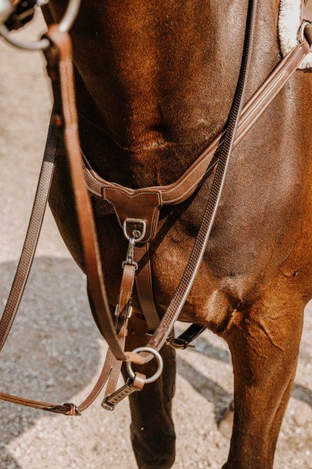 Collier de chasse NORTON PRO - 5 points