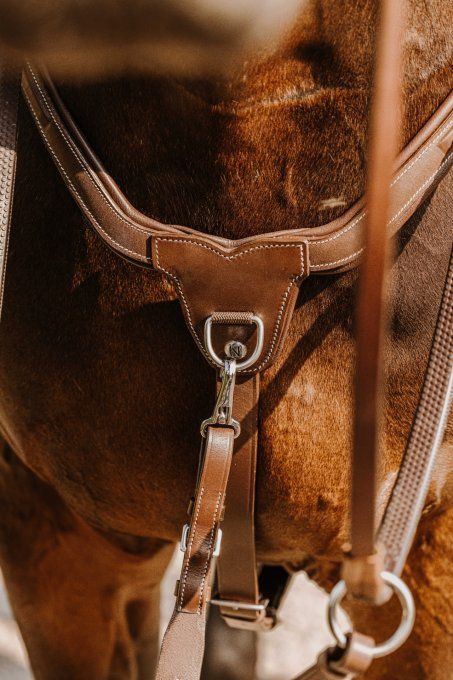 Collier de chasse NORTON PRO - 5 points