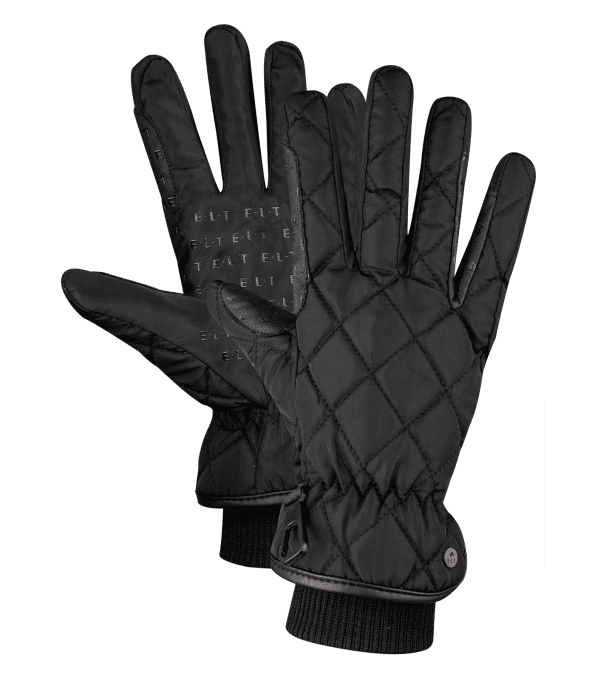 Gants Diamond Winter