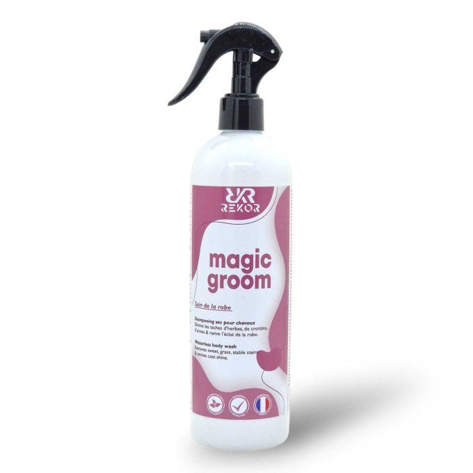 Shampoing sec - Magic Groom