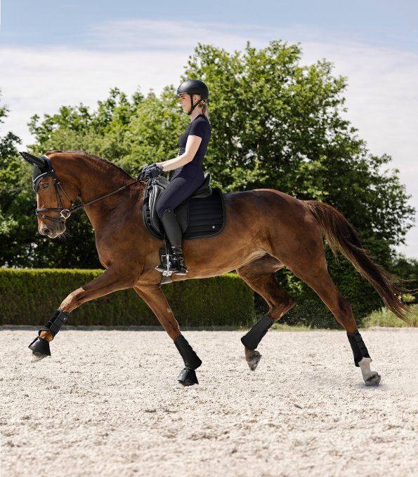 Guêtre de dressage Rimini