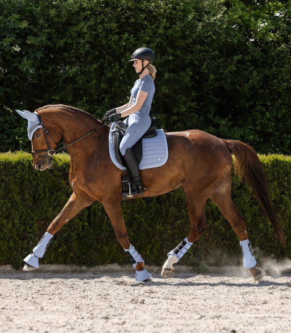 Guêtre de dressage Rimini