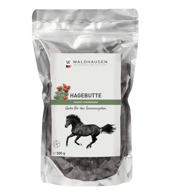 Cynorrhodon - apport supplémentaire de vitamine C