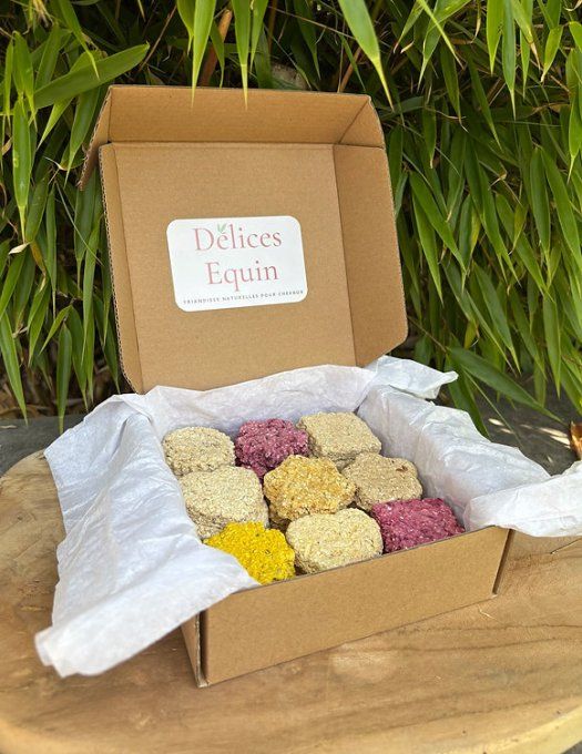 Coffret Découverte Complet