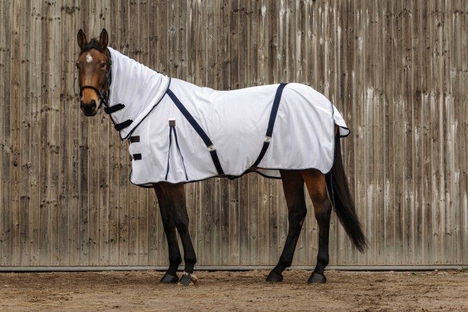 Chemise anti-insectes EQUITHÈME - Mesh combo