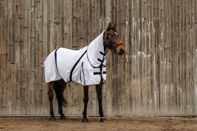 Chemise anti-insectes EQUITHÈME - Mesh combo