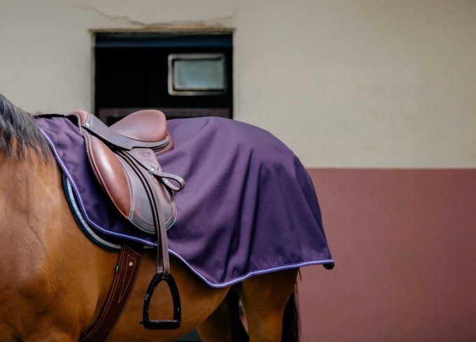 Couvre-reins EQUITHÈME - Polaire