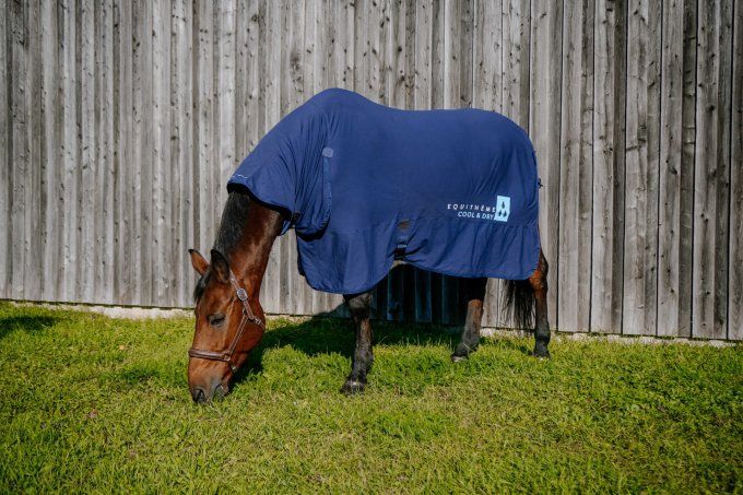 Chemise Cool&dry EQUITHÈME - Fresh Combo