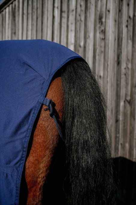 Chemise Cool&dry EQUITHÈME - Fresh Combo