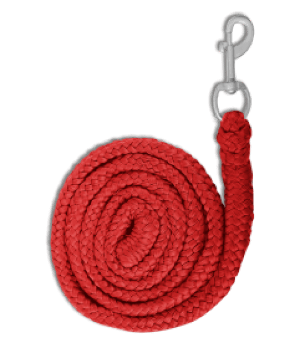 Longe de licol Economic - Mousqueton