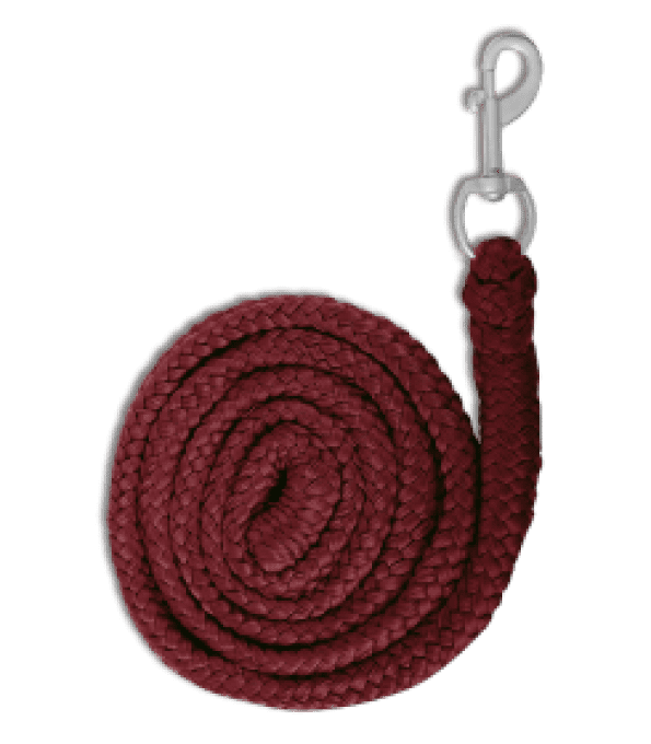 Longe de licol Economic - Mousqueton