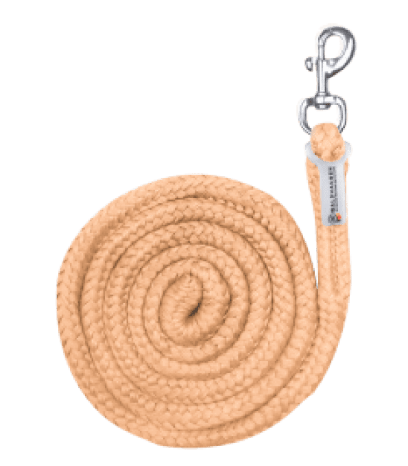 Longe de licol Economic - Mousqueton