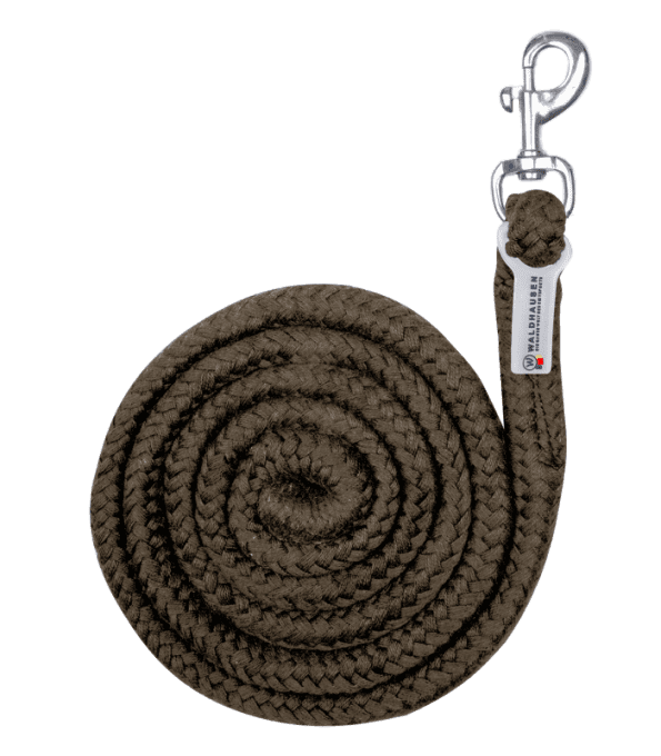 Longe de licol Economic - Mousqueton