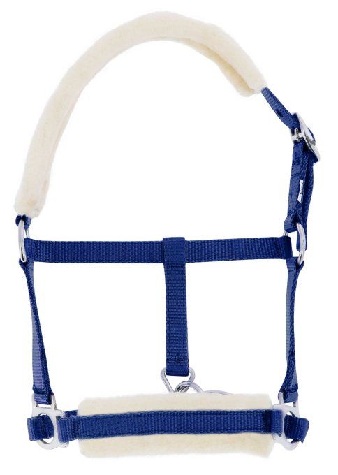 Licol foal RIDING WORLD mouton synthétique