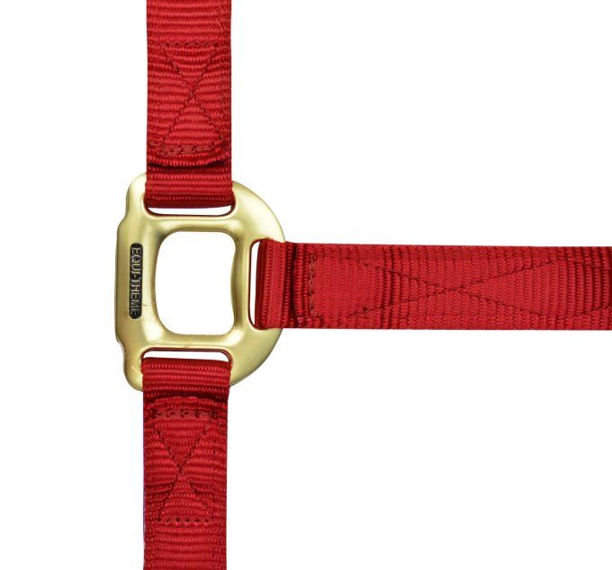 Licol EQUITHÈME - Nylon