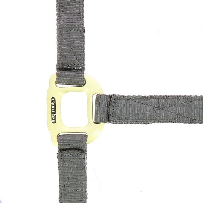 Licol EQUITHÈME - Nylon