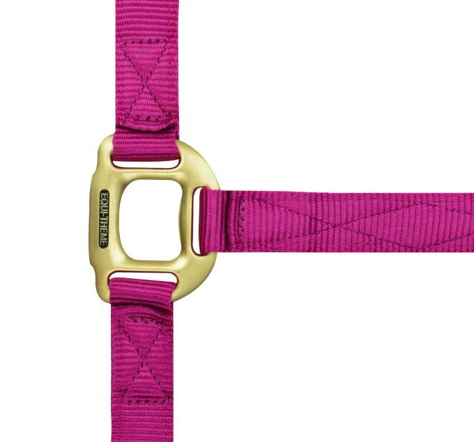Licol EQUITHÈME - Nylon