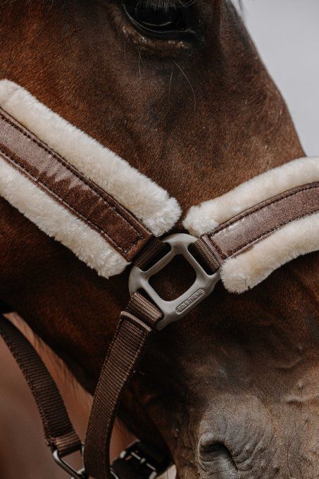 Licol nylon EQUITHÈME - Fashion