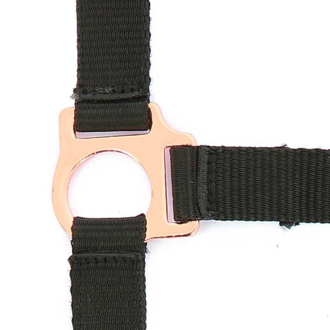 Licol + longe NORTON - Rose gold