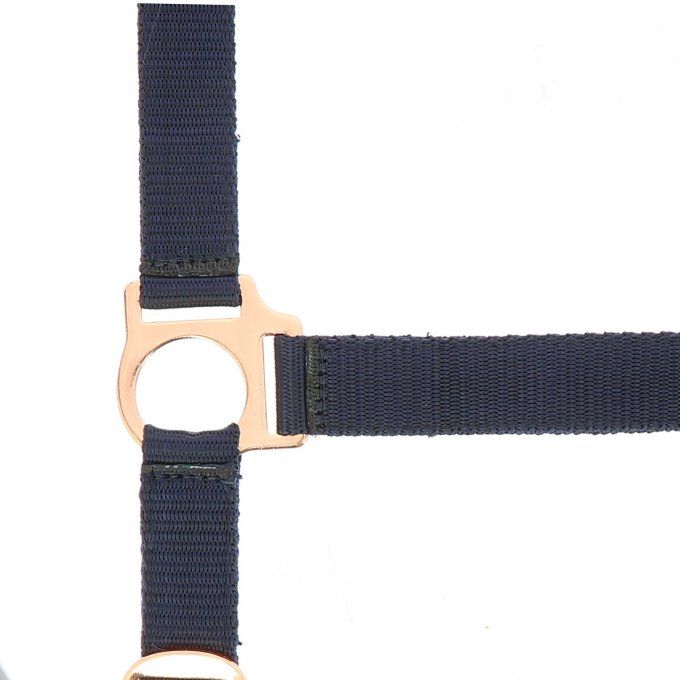 Licol + longe NORTON - Rose gold