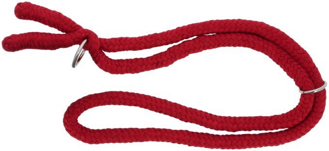 Collier éthologique