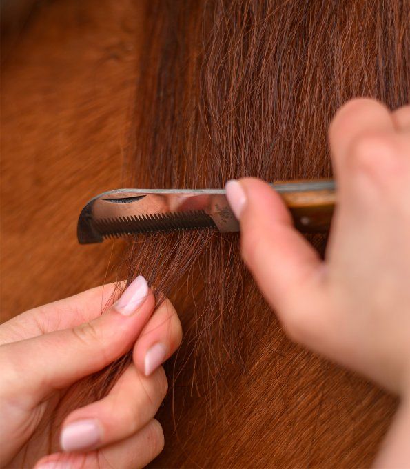 Couteau à crinière pliable