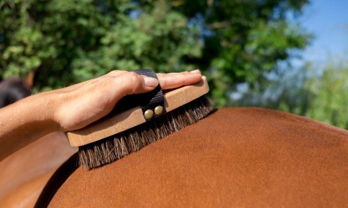 Brosse extra-douce