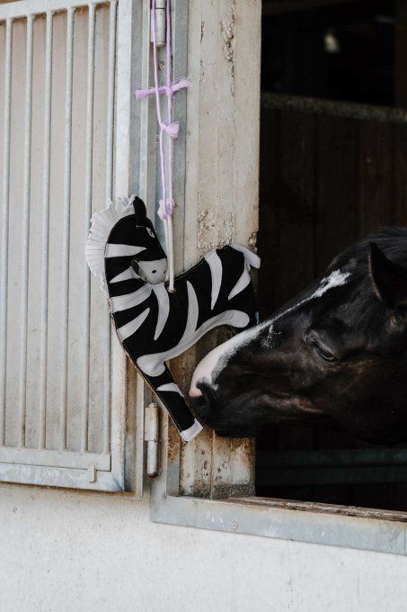 Jouet pour chevaux - Zèbre