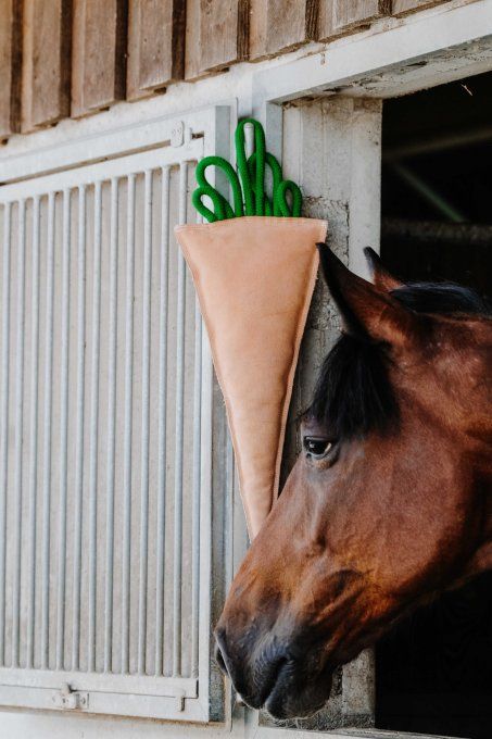 Jouet pour chevaux - Carotte