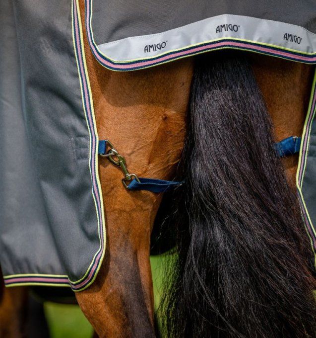 Couverture d'Extérieur Amigo® Bravo 12 Plus (Légère 0g) Horseware