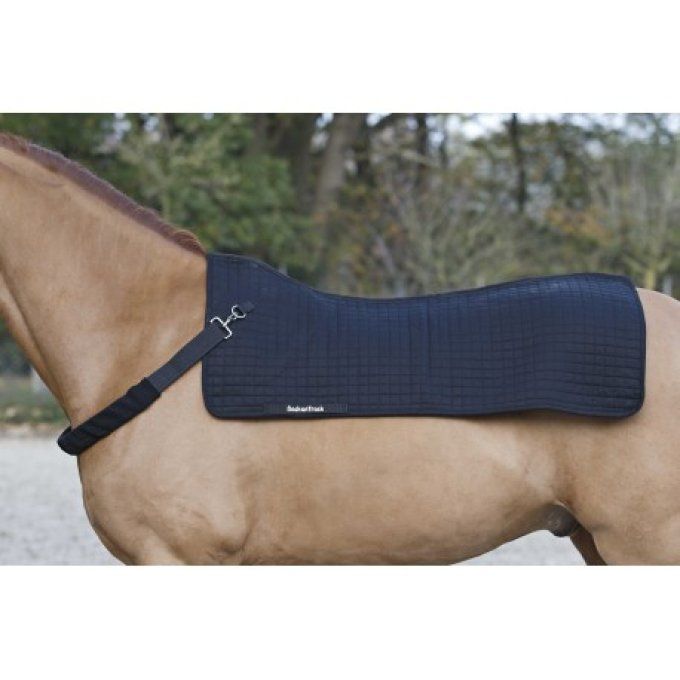 Backwarmer BACK ON TRACK® - Royal