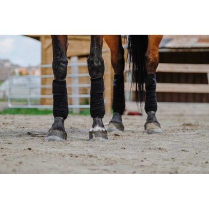 Bandes de polo EQUITHÈME