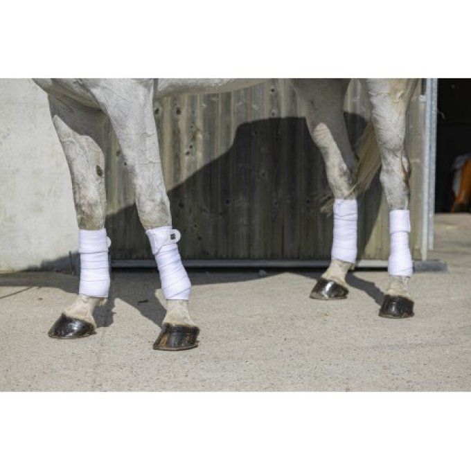 Bandes de polo RIDING WORLD - Eco 3m