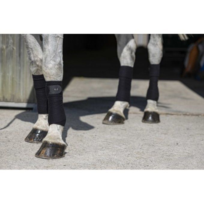 Bandes de polo RIDING WORLD - Eco 3m