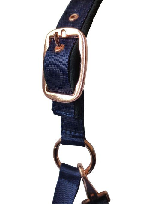 Set longe + licol Daslö gold