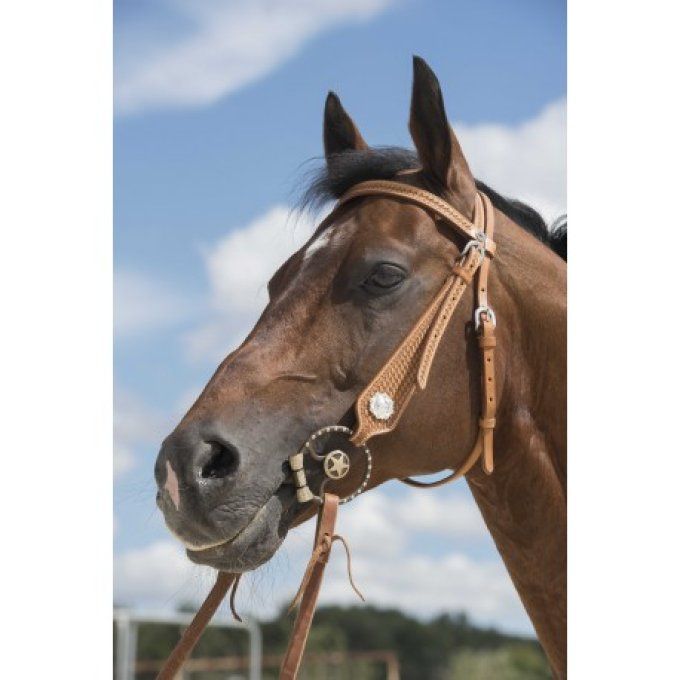 Bridon WESTRIDE by Franck Perret - Aurora