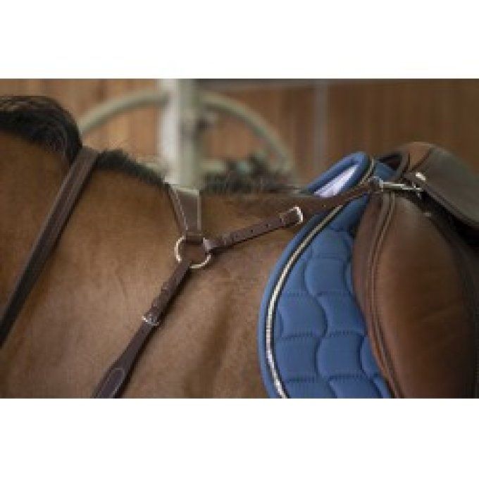 Collier de chasse NORTON PRO - Confort