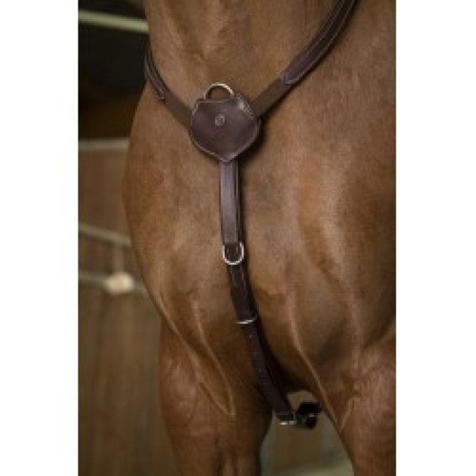 Collier de chasse NORTON PRO - Confort