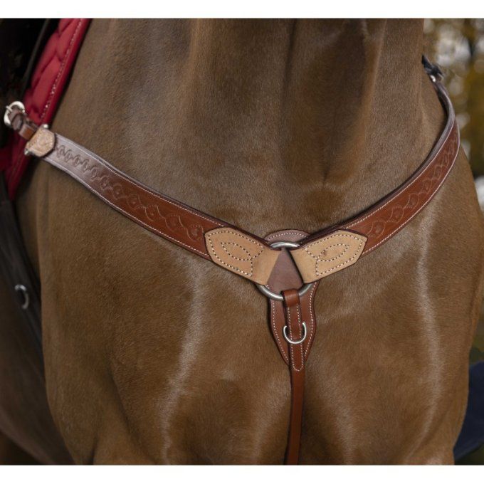 Collier de chasse- Two Tone